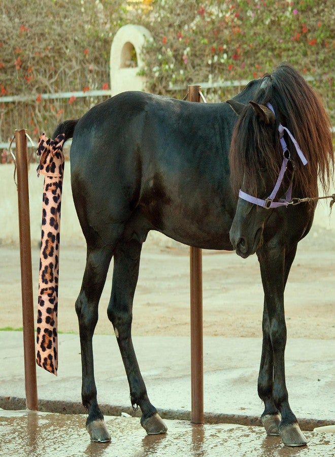 Bulyoou 4 Pcs Horse Tail Bag Stretchy 22" Breathable with 2 Strands to Keep Clean and Protected Grooming Supplies - Image 5